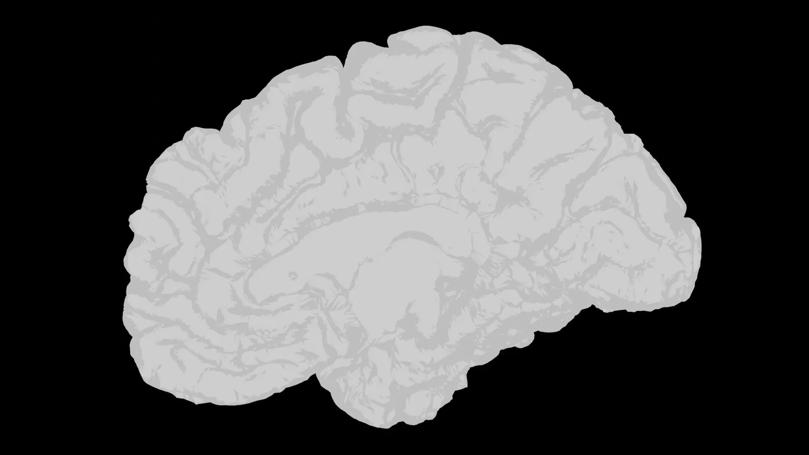 The Mind-Body Connection: Understanding Psychosomatic Illness and Functional Neurological Disorder (FND)